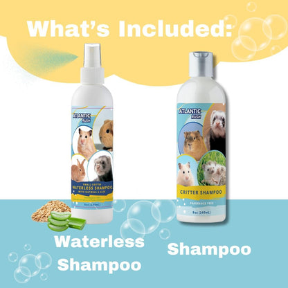 Shampoo Bundle - Fragrance Free & Waterless