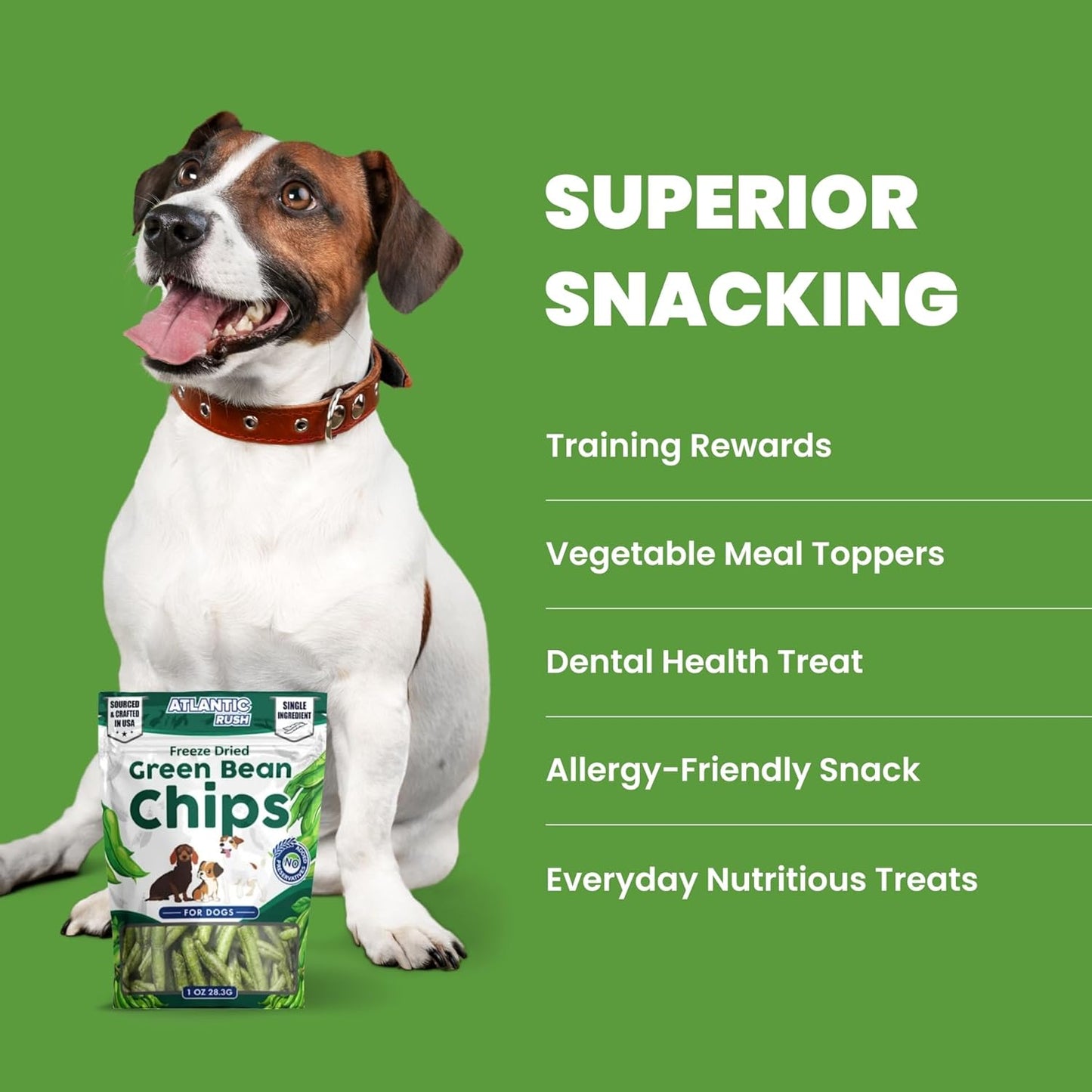 Atlantic Rush Freeze Dried Green Bean Chips for Dogs