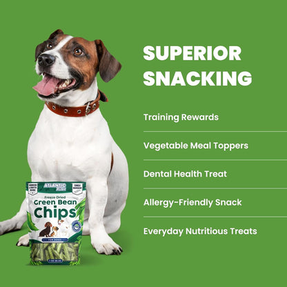Atlantic Rush Freeze Dried Green Bean Chips for Dogs