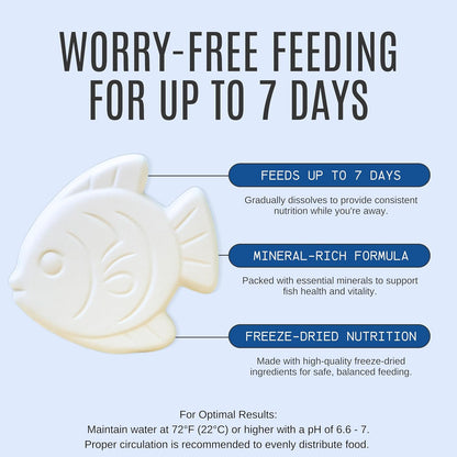 7-Day Vacation Feeder Blocks