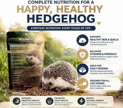 Hedgehog Feast Pro