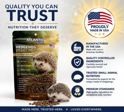 Hedgehog Feast Pro