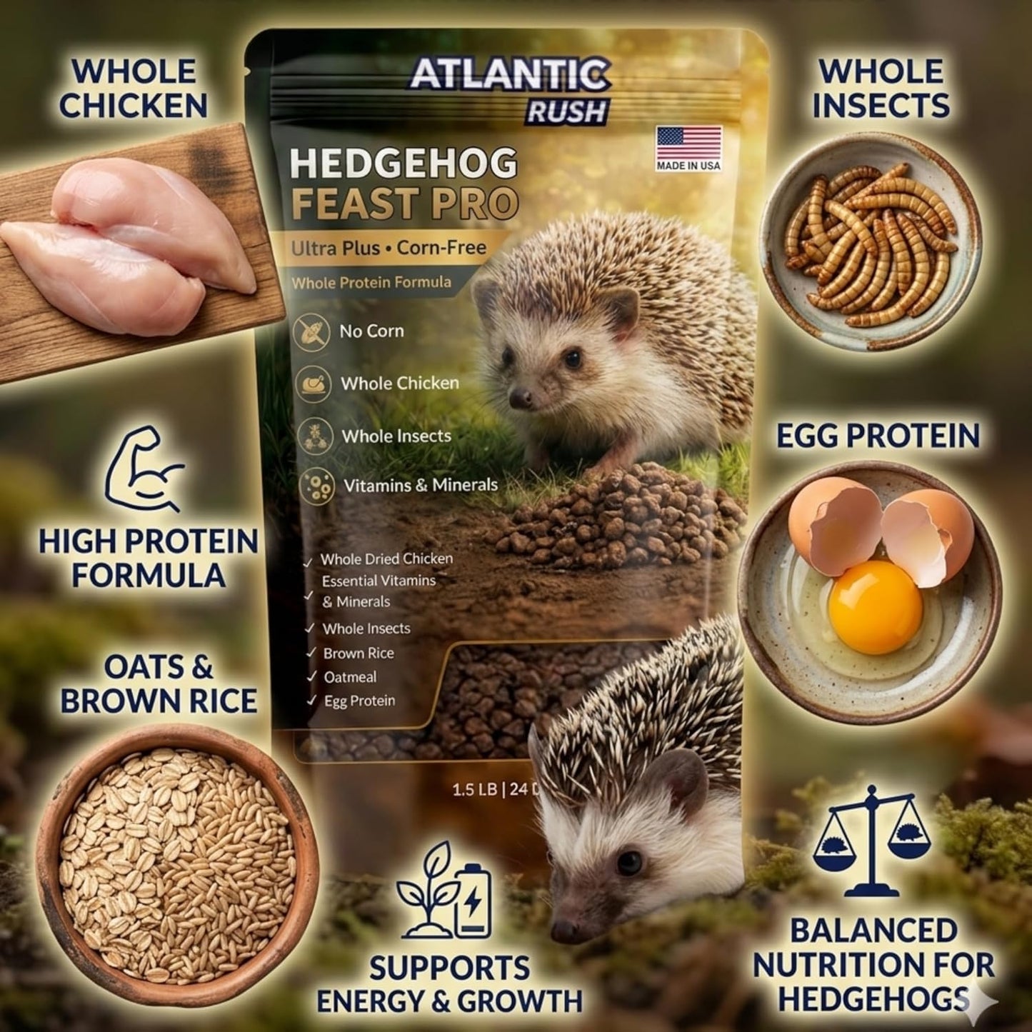 Hedgehog Feast Pro