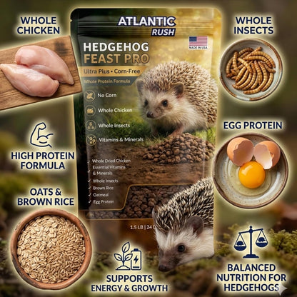 Hedgehog Feast Pro
