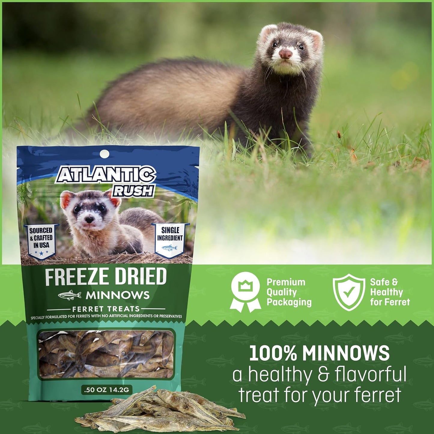 Freeze-Dried Minnow Ferret Treats