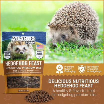 Hedgehog Feast - Premium Hedgehog Food