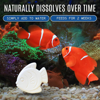 14-Day Vacation Feeder Blocks