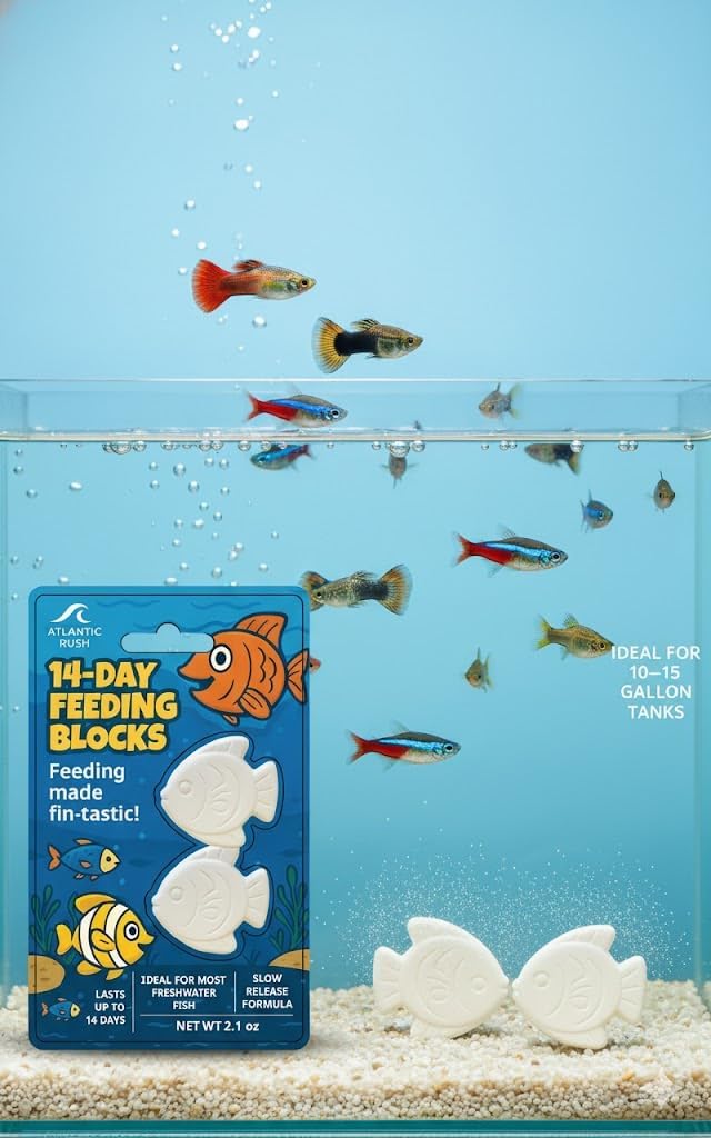 14-Day Vacation Feeder Blocks