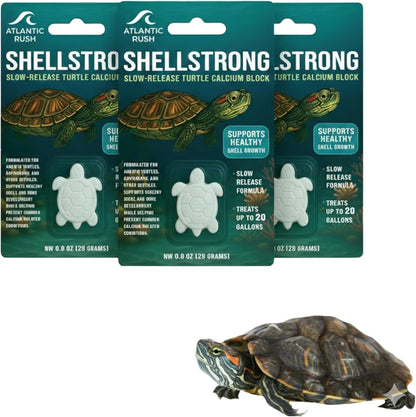 Shellstrong: Calcium Block for Turtles
