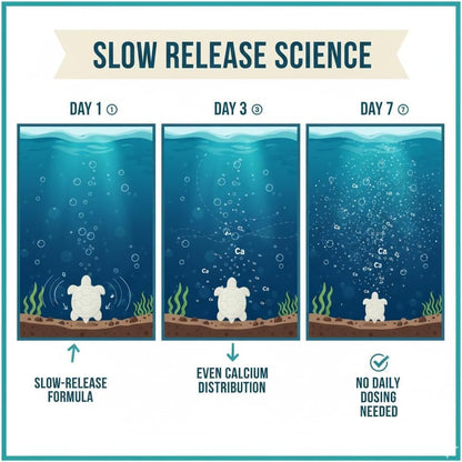 Shellstrong: Calcium Block for Turtles