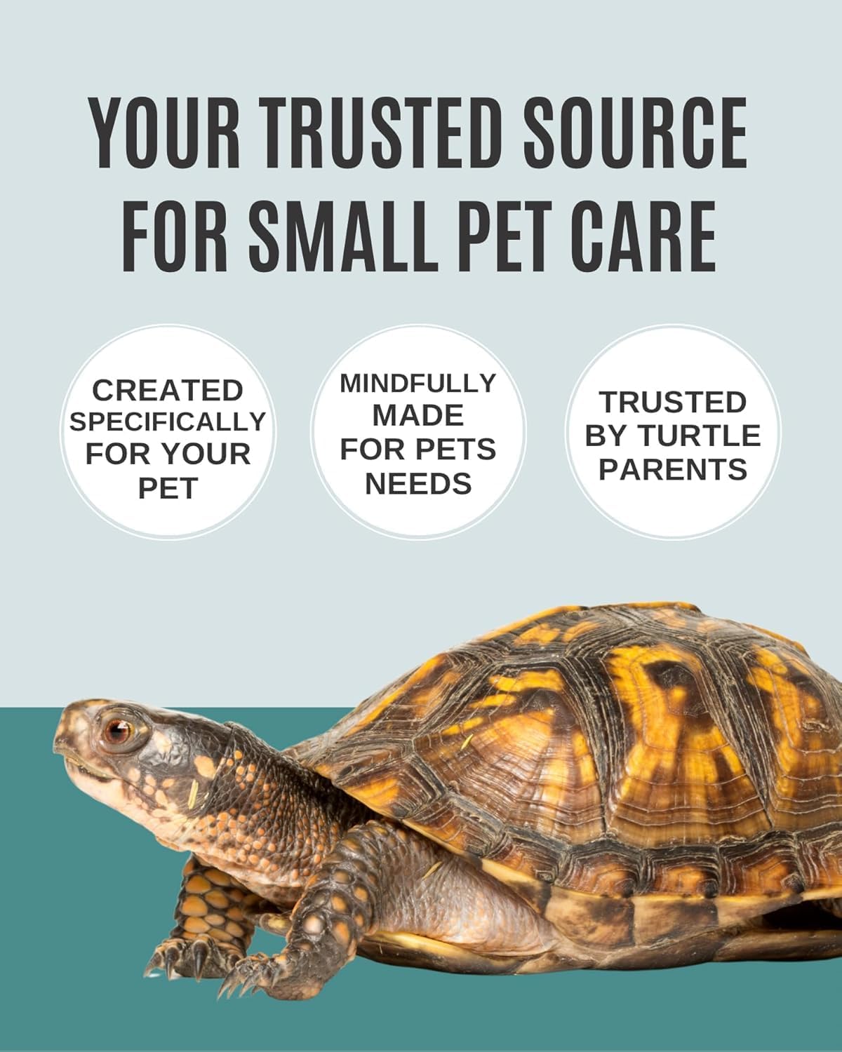 Shellstrong: Calcium Block for Turtles